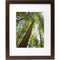 Mainstays Museum 16" x 20" Matted for 11" x 14" Solid Wood Picture Frame, Mahogany