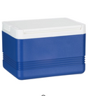 Igloo® Legend™ 5-Quart Ice Chest Cooler - Blue