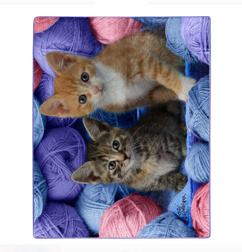 American Heritage, "Two Kittens with Wool" Northwest Raschel Kittens Throw Blanket, 50" x 60"