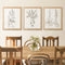 My Texas House - Sepia Besler Botanicals Framed Wall Art Print Set - 16x20