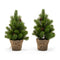 Belham Living 12 in. Artificial Christmas Tree wrapped in Burlap - Set of 2